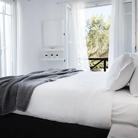 Baos Pool Вилла Mykonos Town