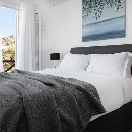 Villa Baos Pool Mykonos Town